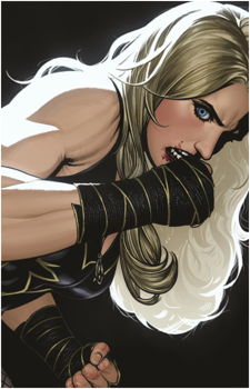 Black Canary (Dinah Lance)