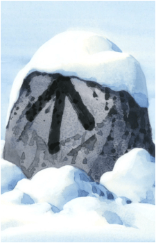 Image 5 Image 5