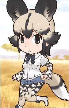 African Wild Dog's image