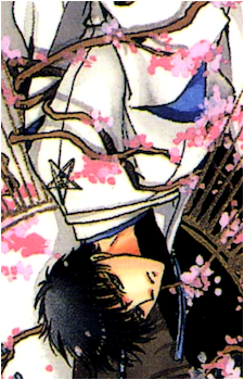 Image 33