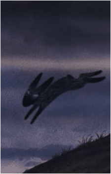 Black Rabbit of Inlé's image