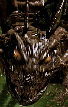 Image 3 Image 3
