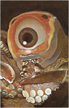 The Nestene Consciousness's image