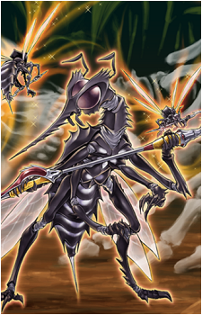 Des Mosquito's image
