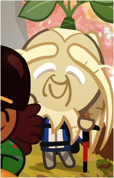 Ginseng Cookie