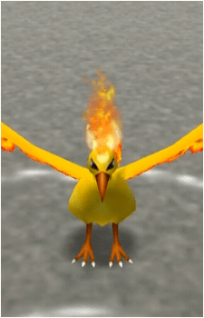 Image 47