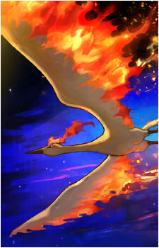 Image 34