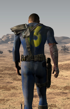 The Vault Dweller's image