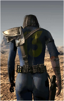 The Vault Dweller