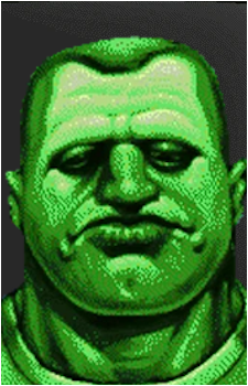 The Vault Dweller