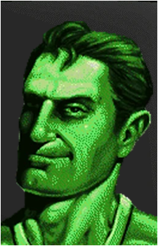The Vault Dweller