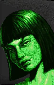 The Vault Dweller