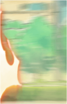 Image 30