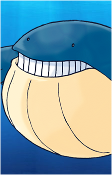Wailmer's image