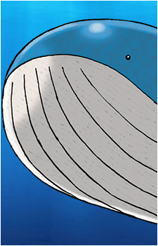 Wailmer