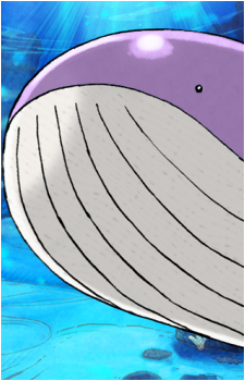 Wailmer