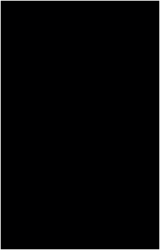 Image 27