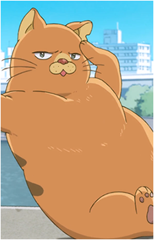 Nyantaro's image