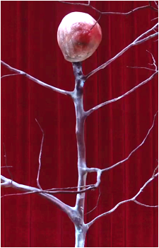 The Arm's image