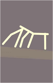 Stick Bug's image