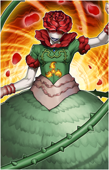 Koa'ki Meiru Gravirose's image