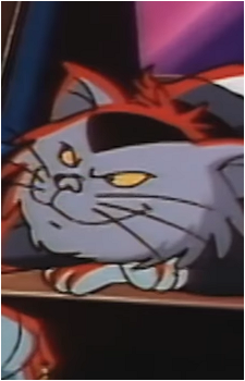M.A.D. Cat's image