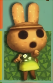 Coco (AC) Image