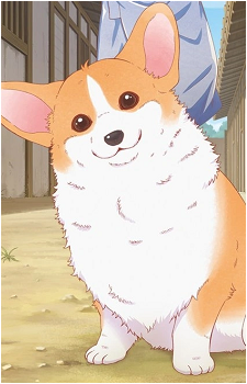 Corgi {TtI}
