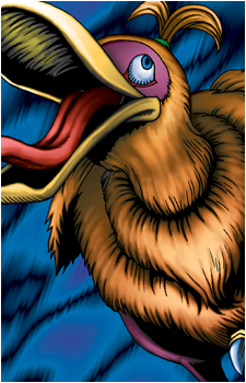 Droll Bird's image