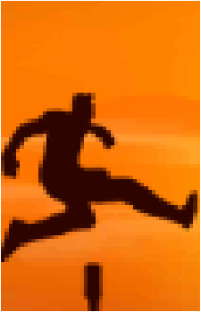 Hurdler's image