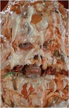 Pizza the Hutt's image