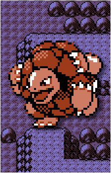 Image 56