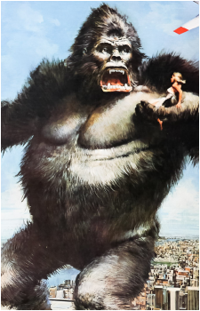 Image 32