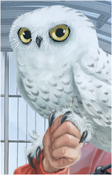 Hedwig