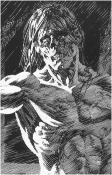 Image 32