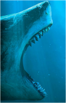 The Meg {TM}'s image