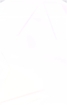 Image 29