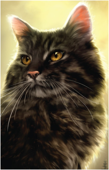 Stormfur's image