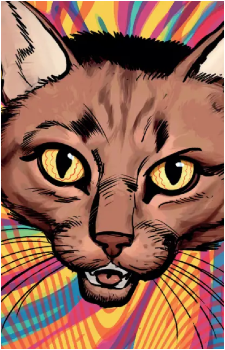 The Hypnotising Cat's image