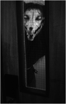 SCP-1471-A's image