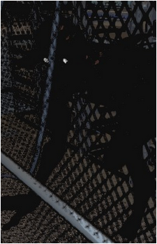 Image 9