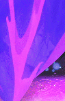 Image 38