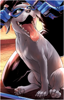 Haley the Dog's image