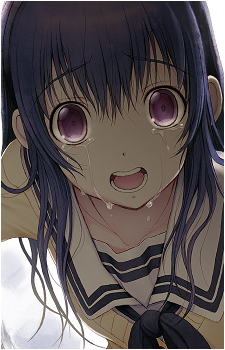 Image 3 Image 3