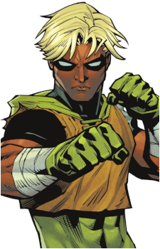 Green Arrow (Connor Hawke)