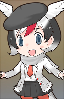 Arctic Tern