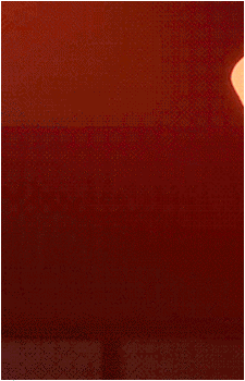 Image 30