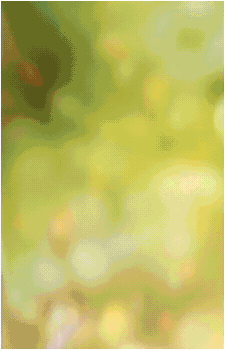 Image 31