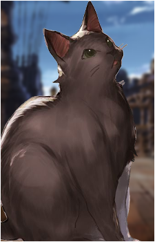 Rivera {GBF}
