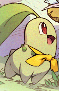 Image 31